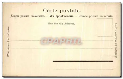 Thunersee — widok jeziora ramifikowany przez wysokie drzewo — wydawnictwo Photoglob Co. Zürich n°2555 — Rewers