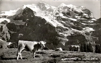 Wengernalp — Vista da Jungfrau (4166 m) — editor Photoglob-Wehrli AG, Zürich