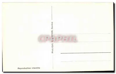 Genewa. Ratusz — wewnętrzna kolumnata i stropy — wydawca O. SARTORI, nr 75 — Rewers