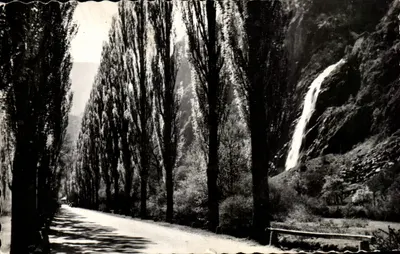 Route bordée d'arbres — cascade — Édition O. S. Autopil, n° 4256