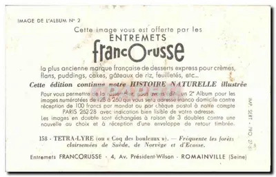 Tetra-Lyre — pássaro da floresta — Entremets Francoruisse, n°158 — Verso