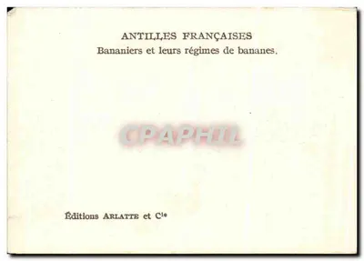 Plantations de bananas — Antilhas Francesas — Sociedade de Geografia — Verso