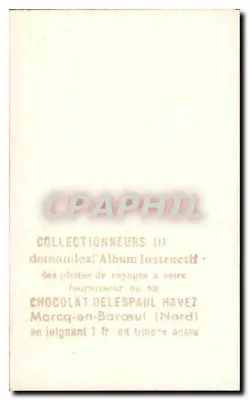 Pavie — Klasztor Chartreux — Chocolat Delespaul-Havez, nr 163 — Rewers