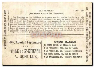 Os Répteis — Serpentes venenosas e não venenosas — H. Pann, Dargen (1833) — PL.59 — Verso