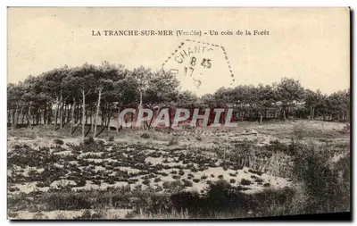 La Tranche-sur-Mer (Vendée) — Um canto da Floresta — editor desconhecido