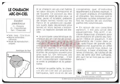 O characídeo arco-íris — Exodon paradoxcus — editor ATP-ROMBALDI, n° 1535 — Verso