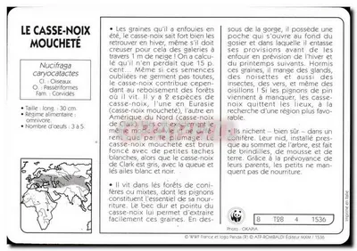 O castanheiro manchado — WWF France / ATP-Rombaldi Editor — n° 8 T28 4 1536 — Verso