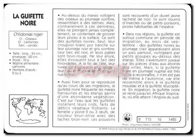 A Guifette Noire — WWF France / ATP-ROMBALDI Éditeur — n° 1485 — Verso