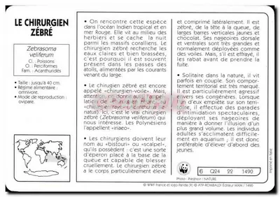 Chirurg zębrzany — WWF France i logo Panda (R) — wydawca ATP-ROMBALDI, n° 6 Q24 22 1490 — Rewers