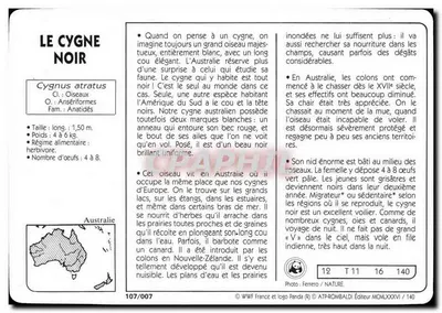 O Cisne Negro — WWF France, série 107/007 — Verso