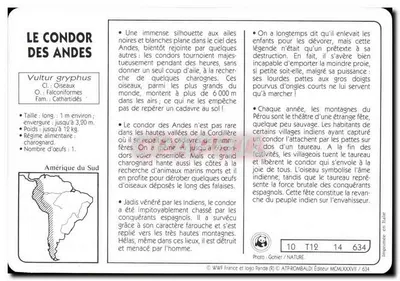 Kondor Andów — WWF Francja, wydawca, n° 634 — Rewers