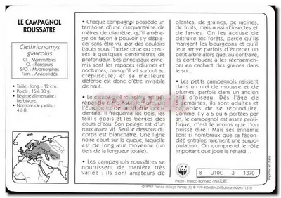 O camundongo ruivo — WWF France / ATP-ROMBALDI Editor — n° 1370 — Verso