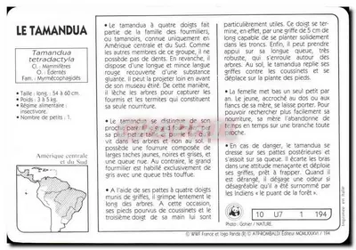 O Tamandua — WWF France / ATP-ROMBALDI Editora — n° 10 U7 194 — Verso