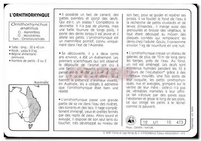 ORNITHORHYNQUE — Wydawca ATP-ROMBALDI, nr 473 — Rewers
