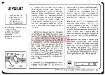 O veleiro — peixe marinho — editor ATP-ROMBALDI, n° 21 — Verso