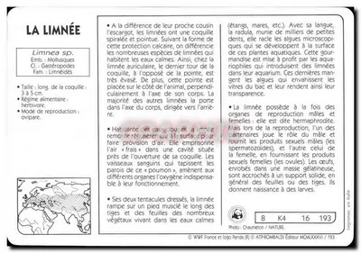 Limnia — wydawca ATP-ROMBALDI, nr 8 z serii K4 — Rewers