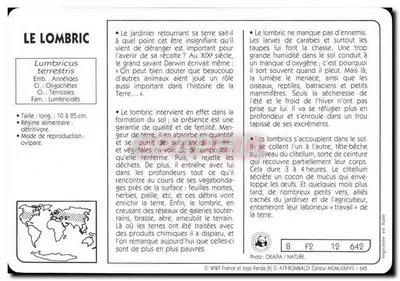O lombric — carta educativa WWF France — editor ATP-ROMBALDI, n° 642 — Verso