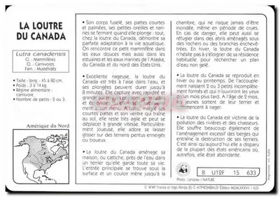A lontra do Canadá — editor ATP-ROMBALDI, n° 633 — Verso