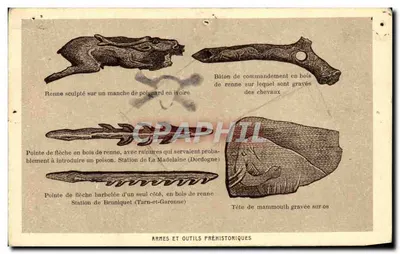 Armes et outils préhistoriques — illustrations de pièces archéologiques (renne, mammouth) — éditeur BRAUN & BRAUN