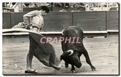 Corrida de touros — Rematando un quíle — Tarieta Postal