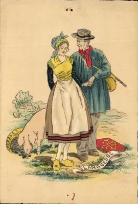 Bilhete postal antigo Foklore Província de Languedoc Porco Suíno