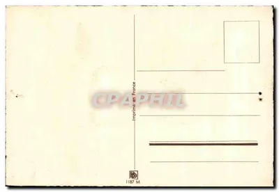 Bilhete postal antigo Foklore Província de Languedoc Porco Suíno — Verso