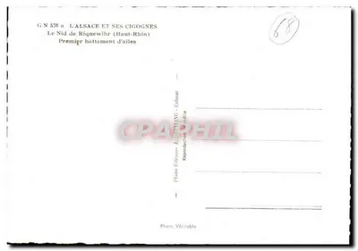 Il Nido di Riquewihr (Alto Reno) — Primo battito d'ali — Edizioni J. Colinar — Verso