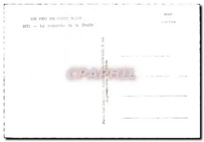 Wyszukiwanie grzybów truflowych — VILLENEUVE-LES-SUR-LOT — Fotografia Ray DELVAT — Rewers