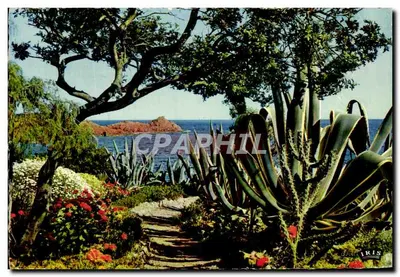 As Praias da Doçura — Costa Azul — Edições Mexichrome