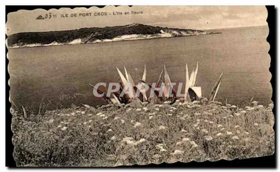 Ilha de Port Cros - A ilha em flores — editor Bar-Talates, n° 8311