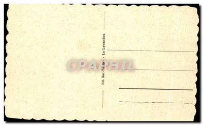 Ilha de Port Cros - A ilha em flores — editor Bar-Talates, n° 8311 — Verso