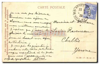 Strasbourg — Rue du Bain-aux-Plantes — Braun & Cie, Wyd. w Strasburgu — Rewers