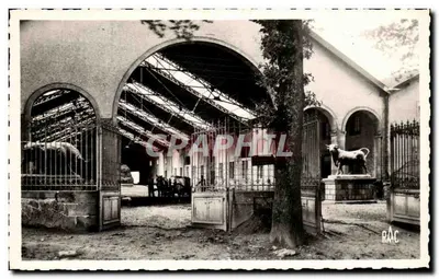 ला जॉन्चेरे - ला फेर्मे — वियेन - एडिशन चापेलियर