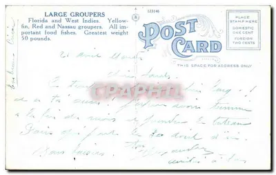 Grupos grandes, Aquário de Nova York — N.Y. Zoological Society, série 35 — Verso
