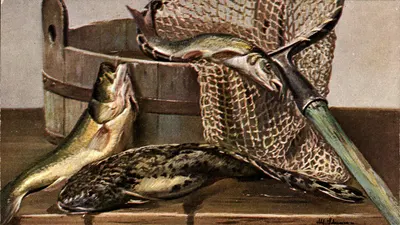 Pescaria — Peixes em um balde e em uma cesta — H. J. Hansen