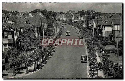 Knokke-Zoute — Avenida Elisabeth — Thill Photolith, n° 61