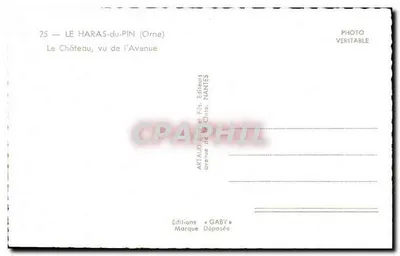 Zamek, widok z Avenue — HARAS-du-PIN (Orne) — Wydawnictwo GABY, Nantes — Rewers