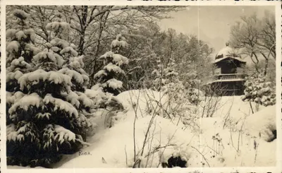 Riga — Vista invernal de um jardim com pavilhão — editor desconhecido, número de série não visível