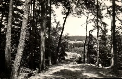 Stacja termalna w Bagnolès-de-l'Orne — Widok z Roc au Chien — Prawdziwy fotograf — R. Gallot, reprodukcja zabroniona