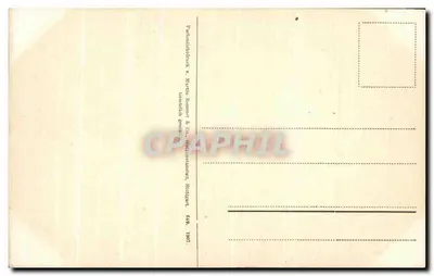 Ramal de pinheiro com cones — editor Martin Temppe & Cie, Stuttgart, n° 649 — Verso