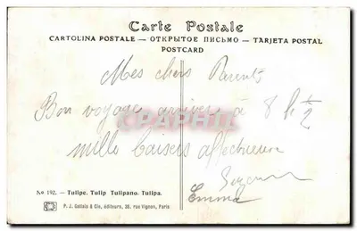 Arranjo de tulipas — ilustração aquarelada — P. J. Gallais & Cie, n° 192 — Verso