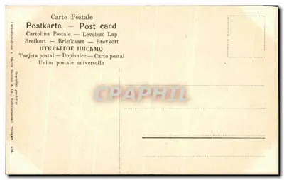 Gałąź sosnowa — czerwone nasiona — wydawca: Imperial Litho. & Co., Nédelești — Rewers