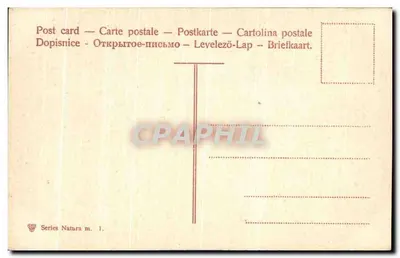 Flores de pâquerettes rosas — abelha — série Natura m. 1 — Verso