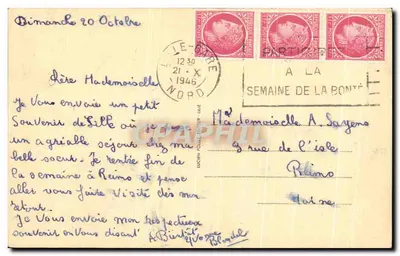 Lille — Katedra św. Maurycja — Reprodukcja zabroniona — L.P. 80 — Rewers