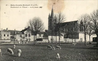 Brie-Comte-Robert (S.-et-M.) — Boulevard de l'Ouest — éditeur B.F., Paris