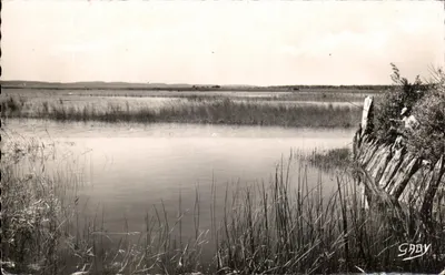 Hourtin (Gironde) — O Lago — Edições Caby