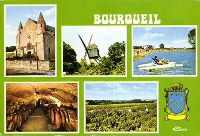 Bourgueil — vista da abadia, do moinho, do lago, das caves e das vinhas — Cing
