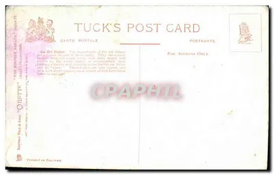 The Norfolk Broads: Um Pescador de Lampreias — Tuck's Post Card — Verso