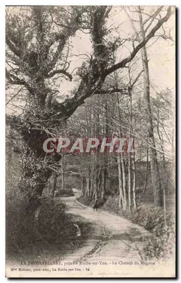 La Brossardière, perto de La Roche-sur-Yon - O Caminho do Magnou — Sra. Milheau, fotógrafo-editor, La Roche-sur-Yon - 54
