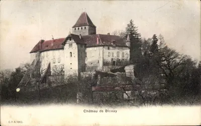 Castelo de Blonay — vista panorâmica — C.P.N. 1862